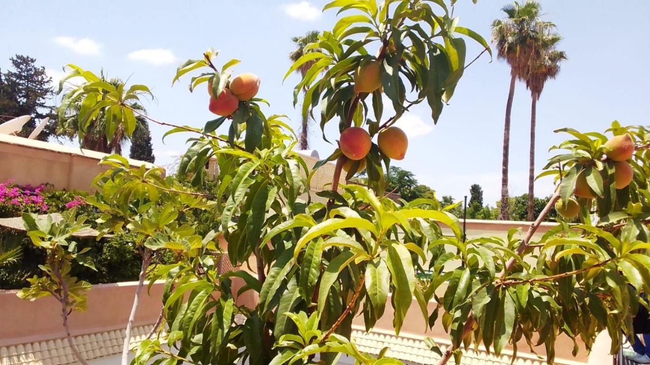 Riad Zouhour Marrakesh Bagian luar foto
