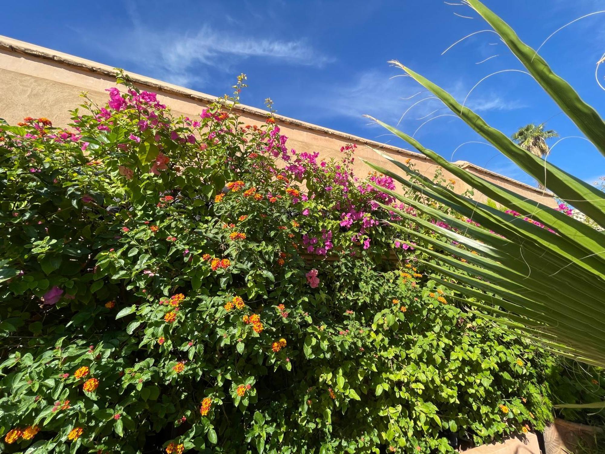 Riad Zouhour Marrakesh Bagian luar foto